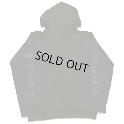 画像3: VIOLENTGRIND / PUSHEAD / パーカー / PHORGUN別注カラー