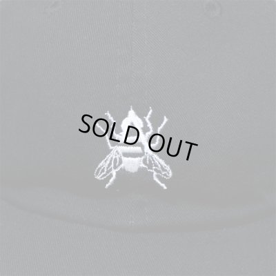 画像4: ANARC / FLY-CAP / コットンキャップ