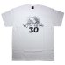 画像4: VIOLENTGRIND / SKULL 30 / 30th anniversary Tシャツ (4)