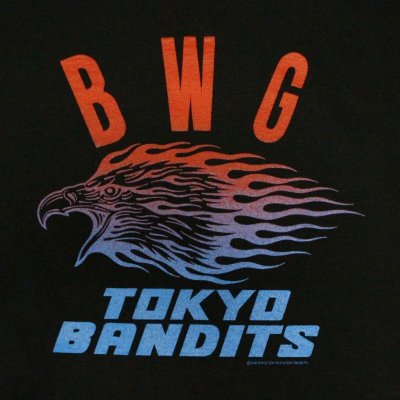 画像4: SALE!B.W.G / EAGLE / ロンT