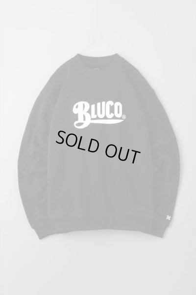画像1: BLUCO / HEAVY PILE SWEATSHIRTS-OLD LOGO- / SWEAT(全3色）