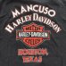 画像7: USED / HARLEY DAVIDSON / Tシャツ