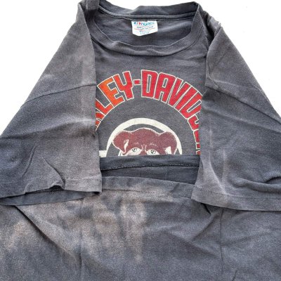 画像4: USED /  HARLEY DAVIDSON / Tシャツ