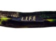 画像2: 再入荷！！L.I.F.E / LAH / シューレースベルト (2)