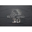 画像9: VIOLENTGRIND / SKULL 30 / 30th anniversary Tシャツ (9)