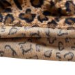 画像8: B.W.G /  ANIMAL SHORTS (LEOPARD)  / ショーツ(50本限定) (8)