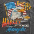画像2: USED / HARLEY DAVIDSON / Tシャツ (2)