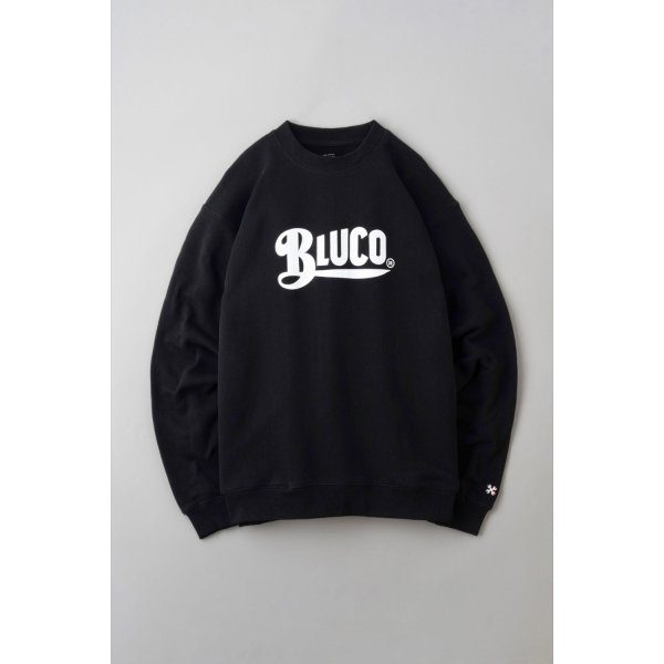 画像1: BLUCO / HEAVY PILE SWEATSHIRTS-OLD LOGO- / SWEAT(全3色） (1)