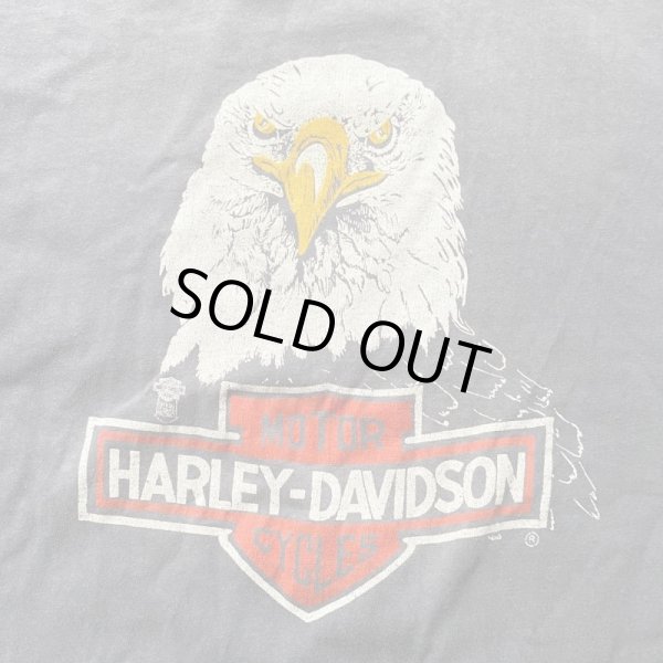 画像2: USED /  HARLEY DAVIDSON / Tシャツ (2)